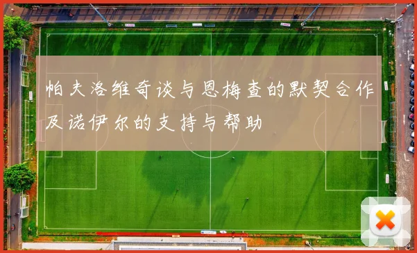 帕夫洛维奇谈与恩梅查的默契合作及诺伊尔的支持与帮助