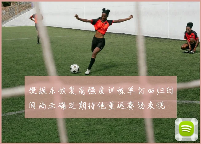 樊振东恢复高强度训练单打回归时间尚未确定期待他重返赛场表现